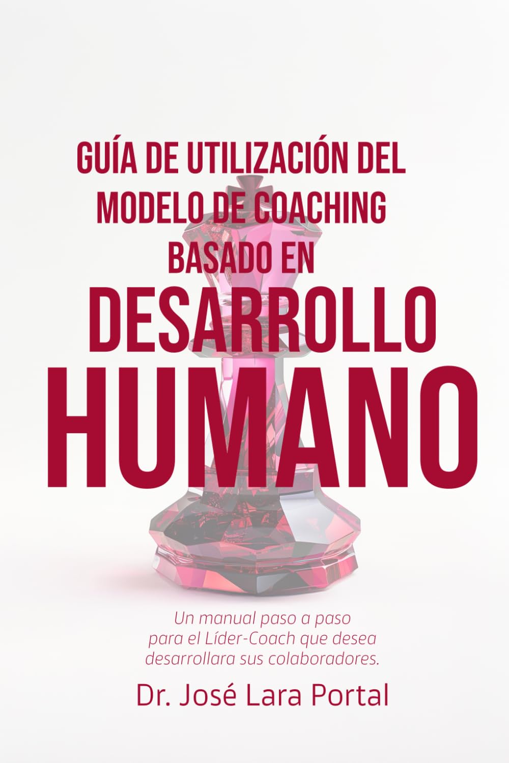 Guía de utilización del modelo MCDH